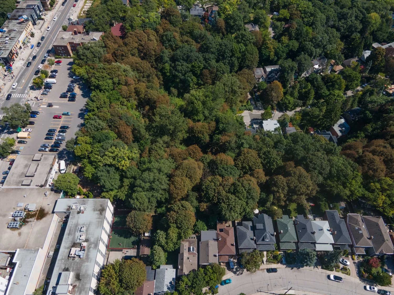 109 Kennedy Ave_068.jpg