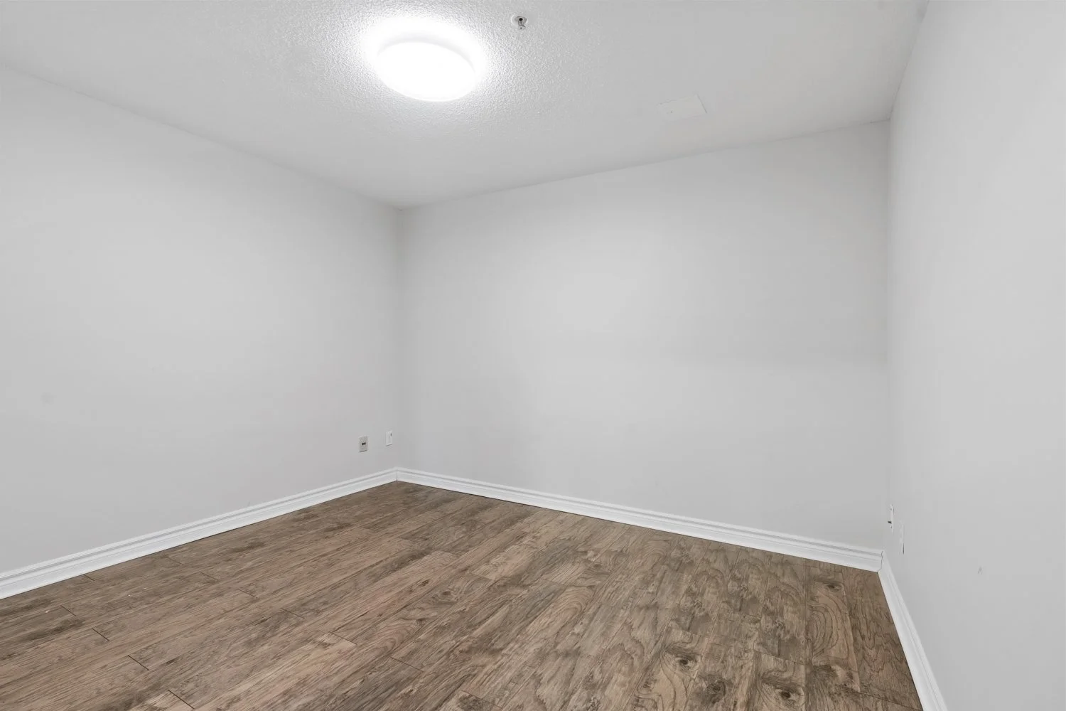 3531 lakeshore_021.jpg