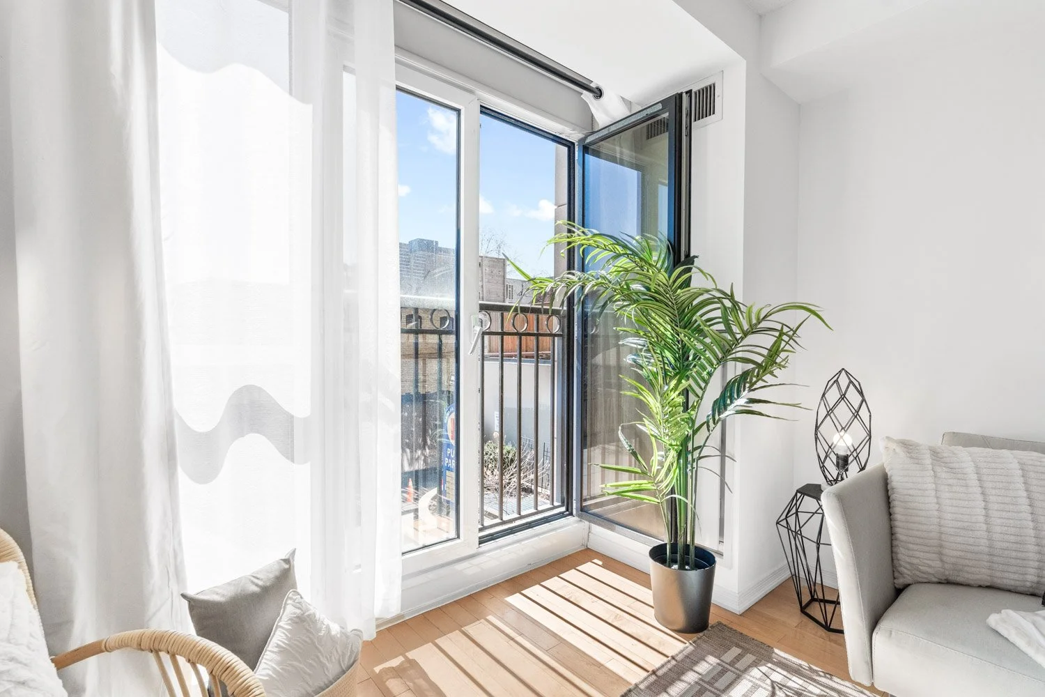 308 Palmerston_011.jpg