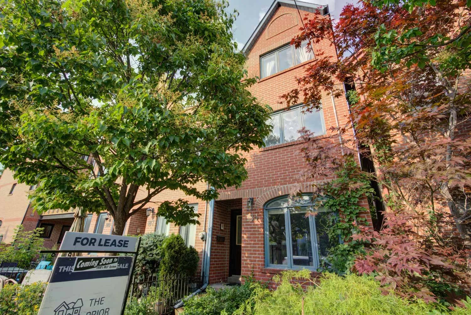 185 Lippincott_046.jpg