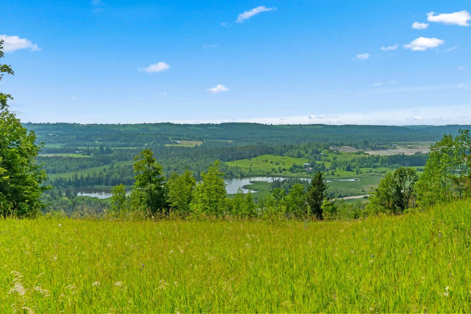 208 Ski Hill_103.jpg
