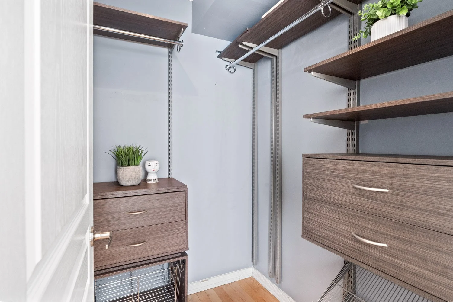 308 Palmerston_029.jpg