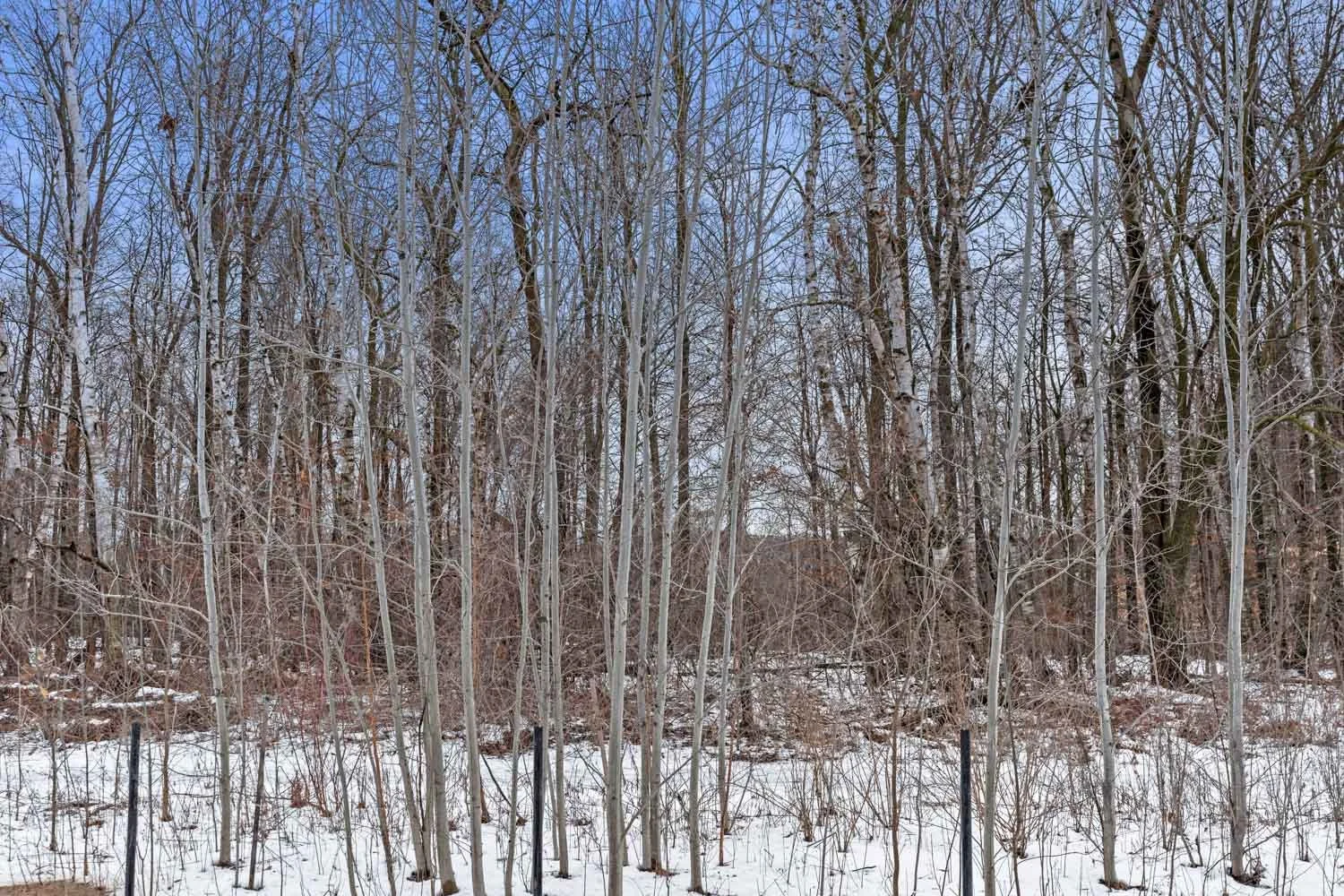 35 Knotsberry_038.jpg