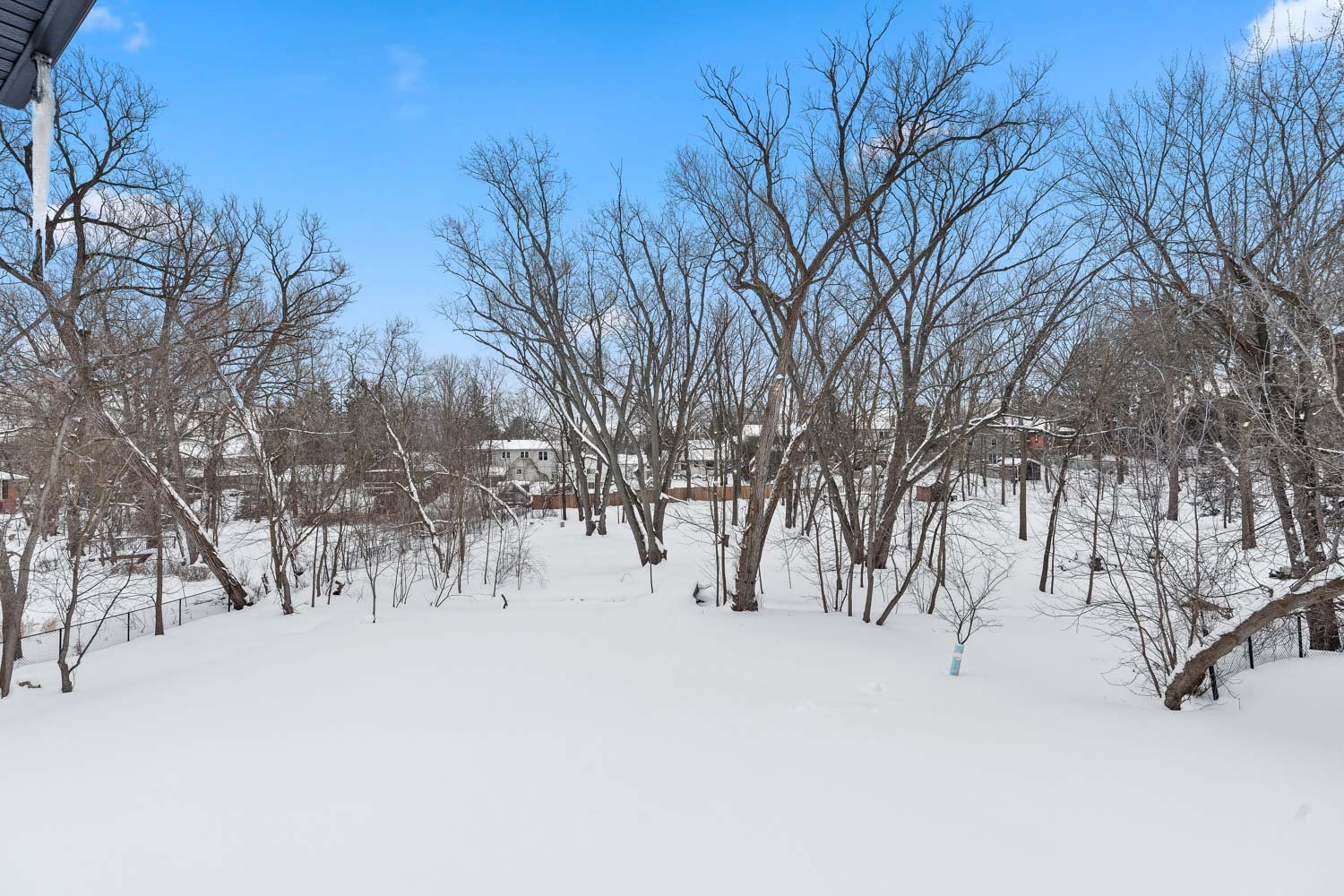 197 Sherwood_085.jpg