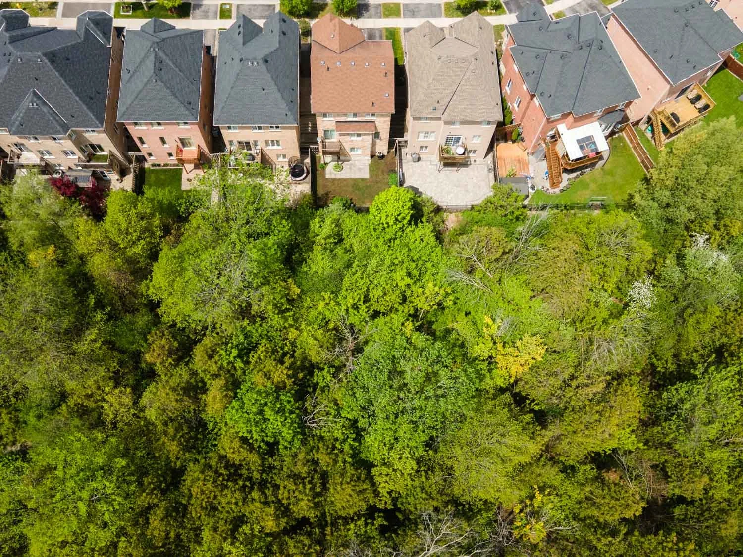 27 Ida Jane Grove_052.jpg