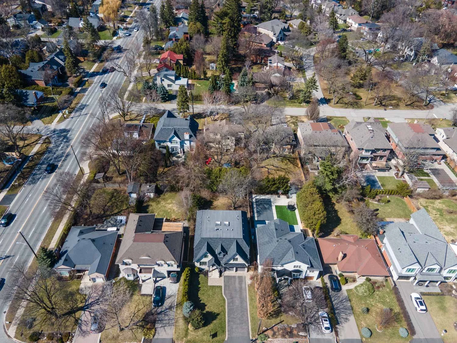 40 Hilldowntree_068.jpg