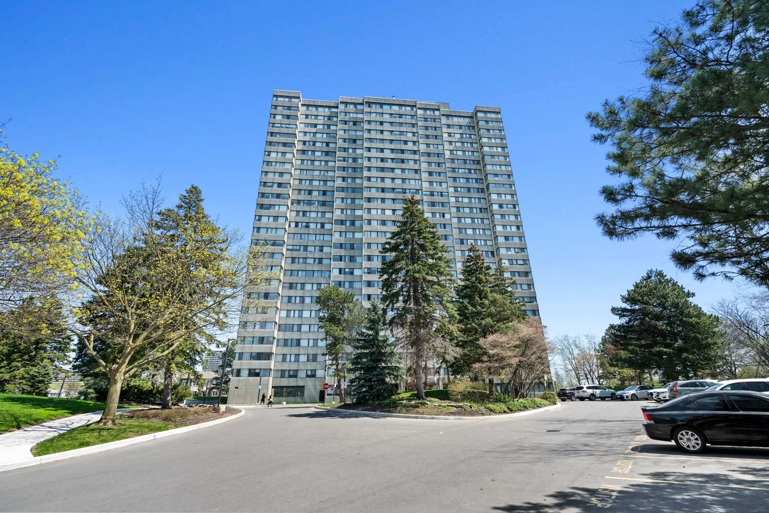 133 Torresdale Ave_001.jpg