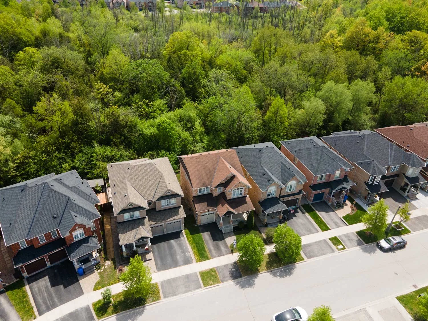 27 Ida Jane Grove_004.jpg