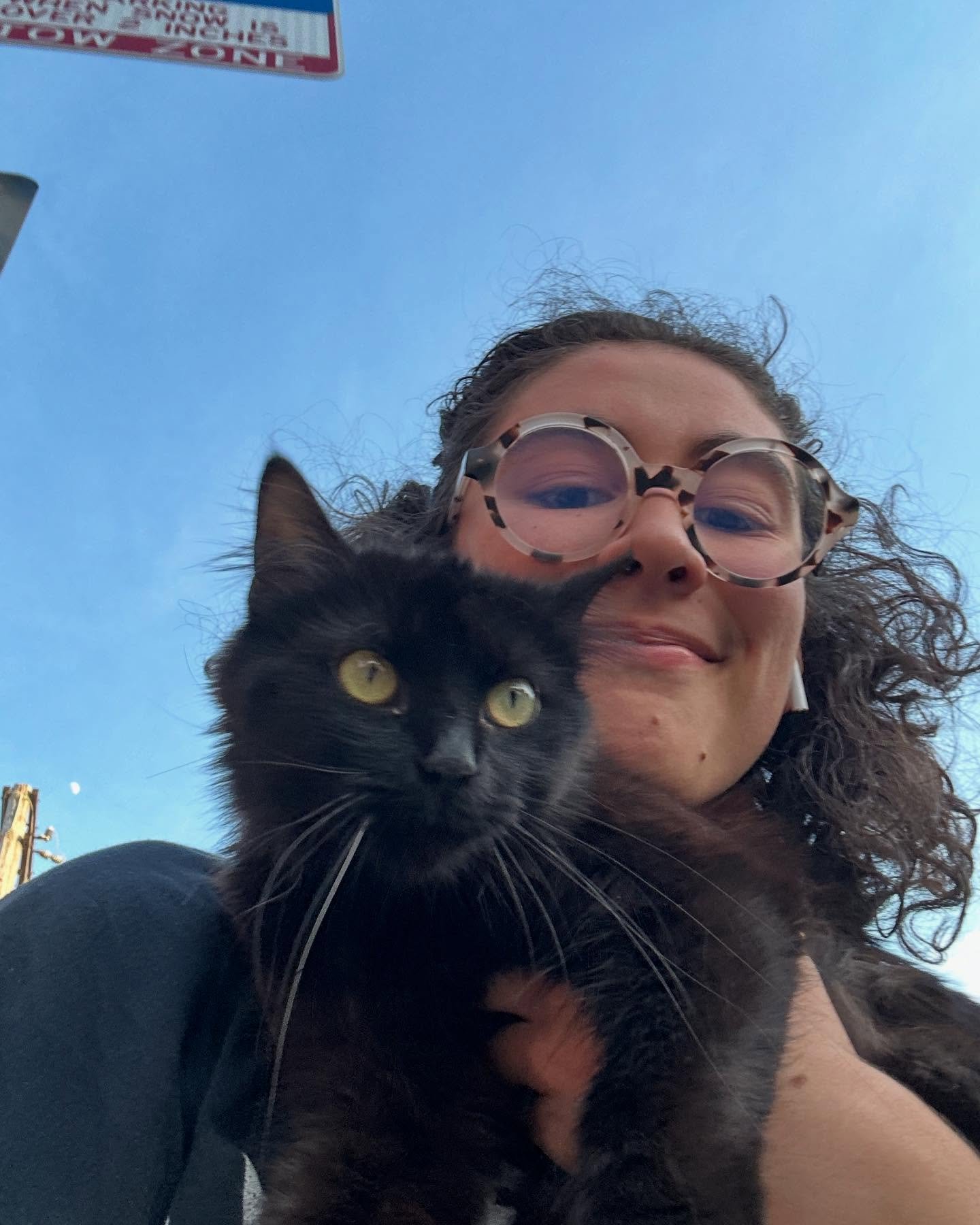 that&rsquo;s my girl! happy anniversary to me + binx 💕 

shout out to her for walking up to me then following me (fucking stalker) until i picked her up and carried her around chicago for 20 minutes. shout out to the babies she had three weeks later