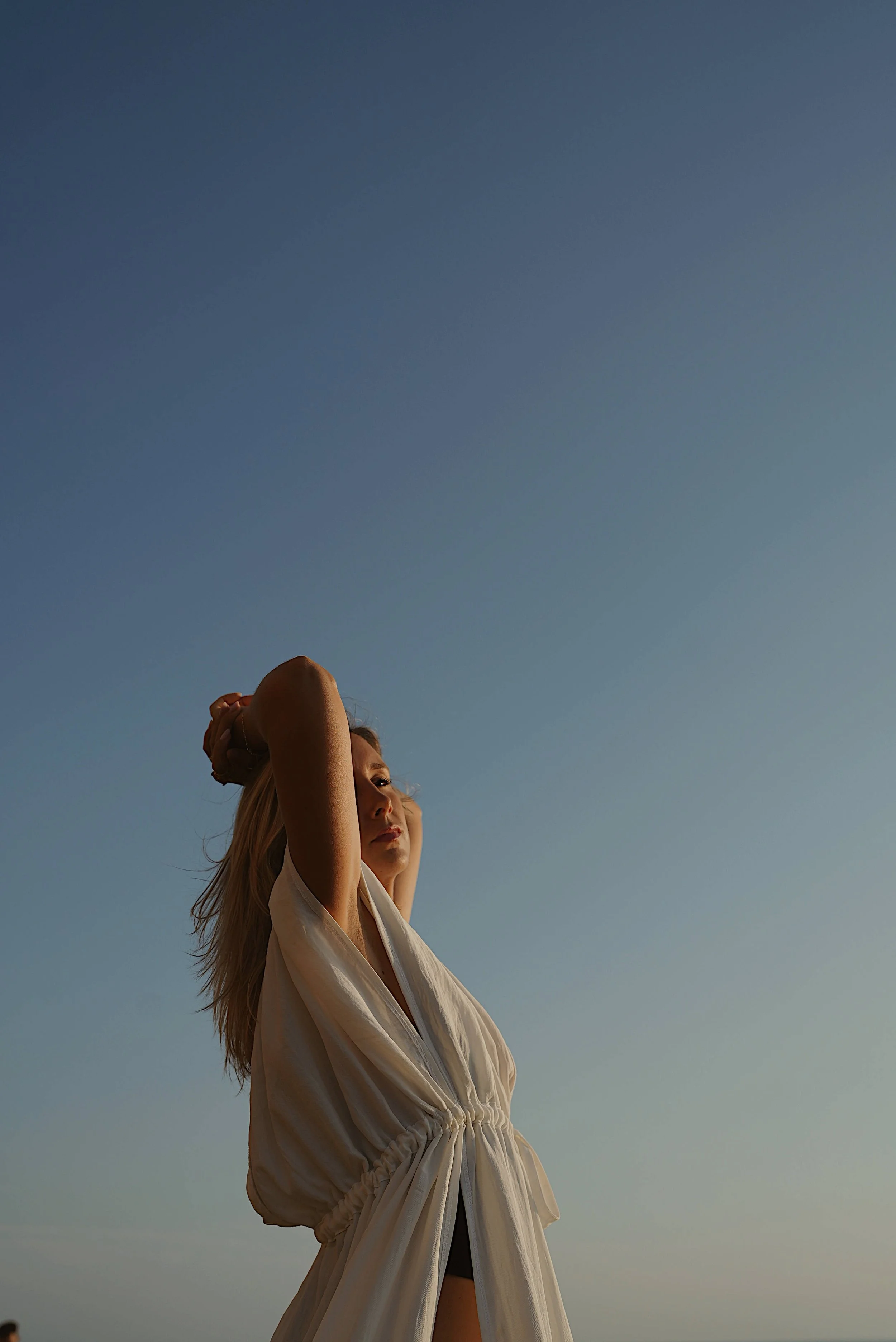 Nikki-Meyers_Coherent-Field-for-Sovereign-Leaders_Homepage_Emotional-Alchemy.jpg