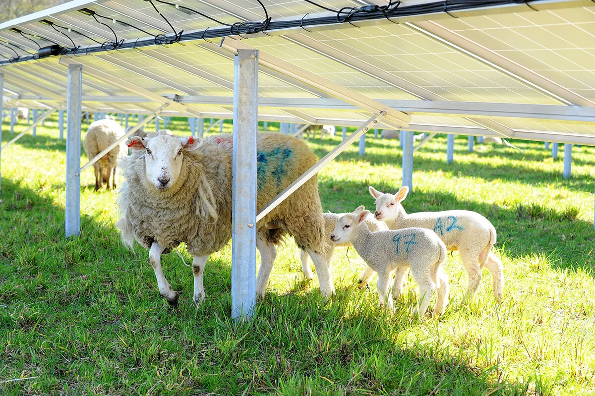 Land use and solar