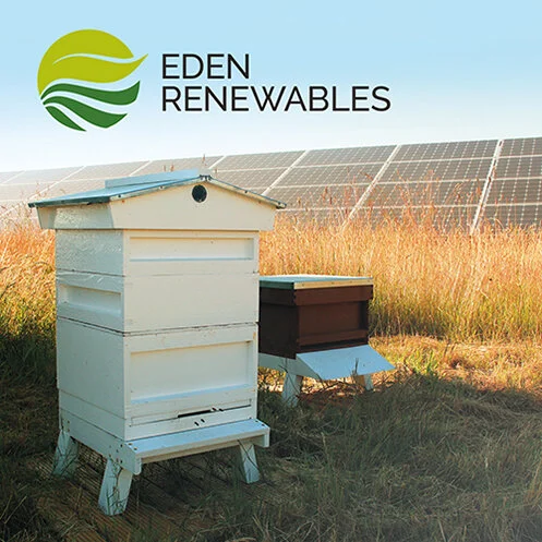 Wiltshire Bee and Honey Day