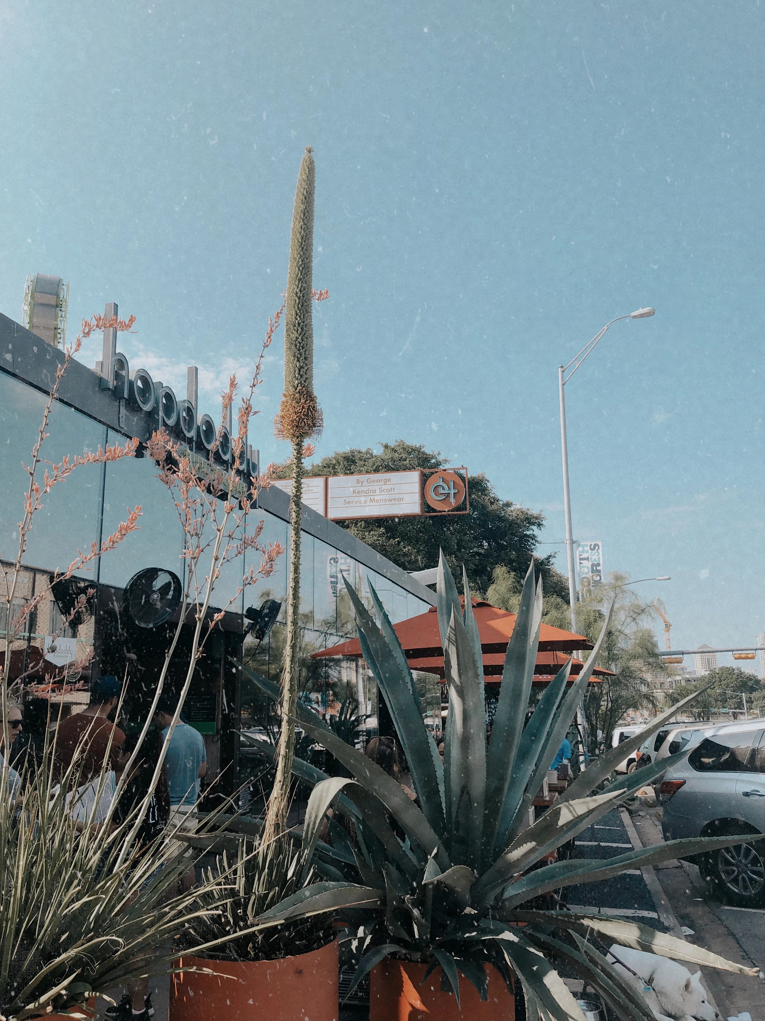 A Weekend in Austin