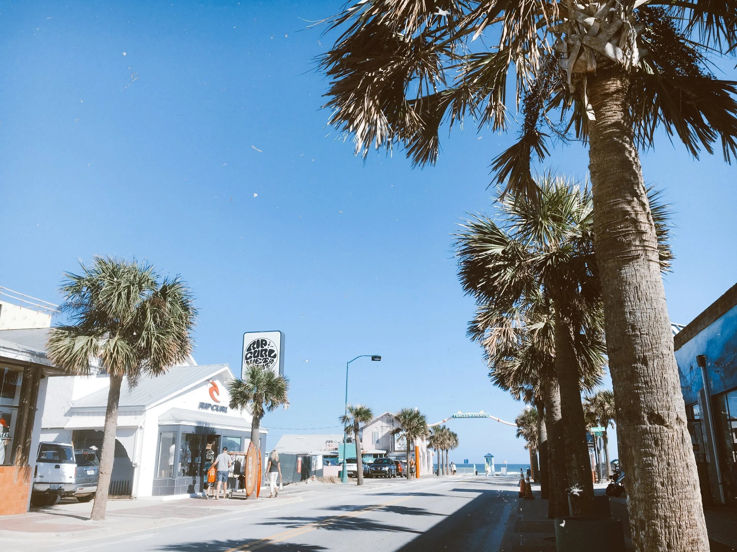 New Smyrna Beach Travel Guide