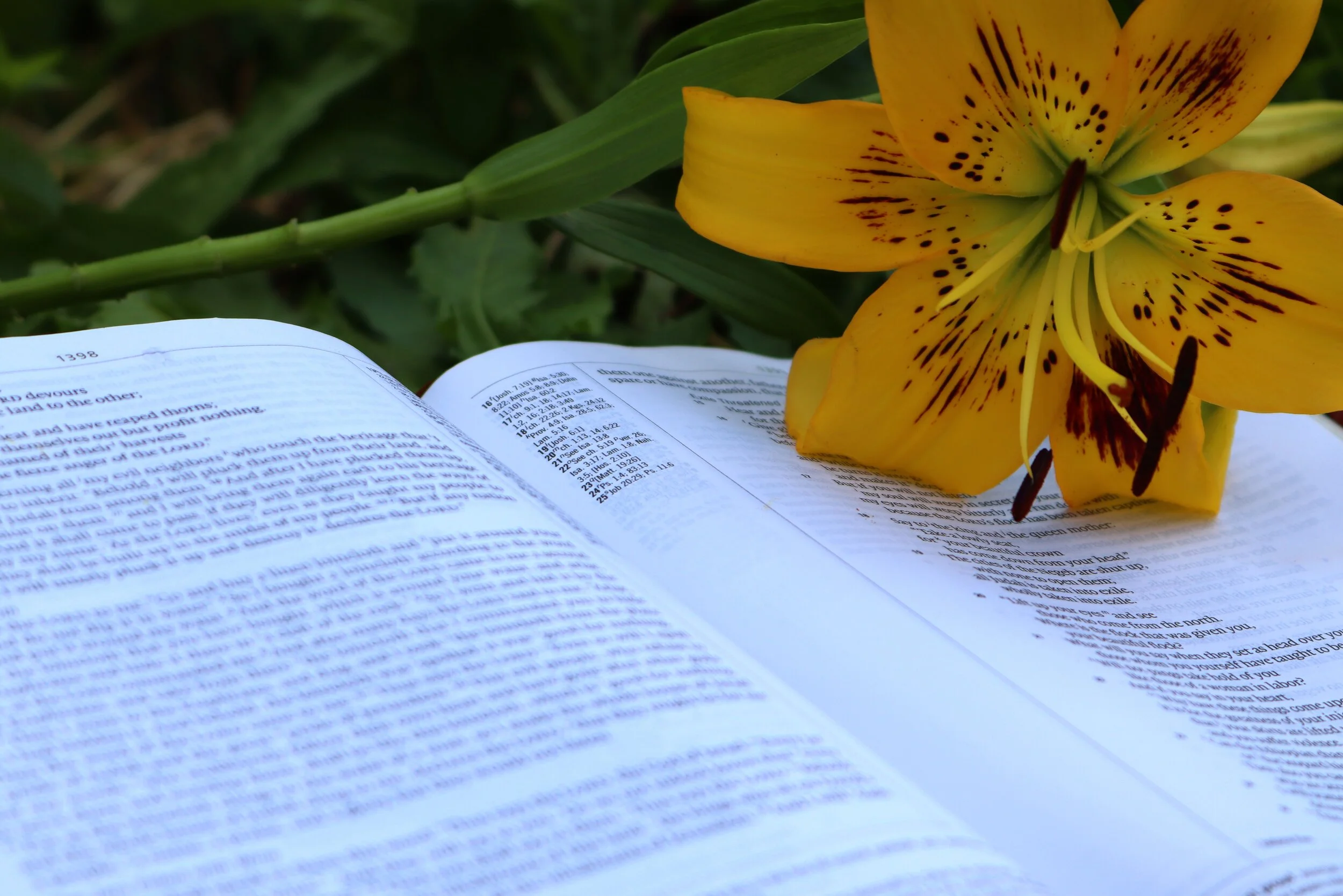 Send flowers to Chicago Gospel Blooms Southside Blooms