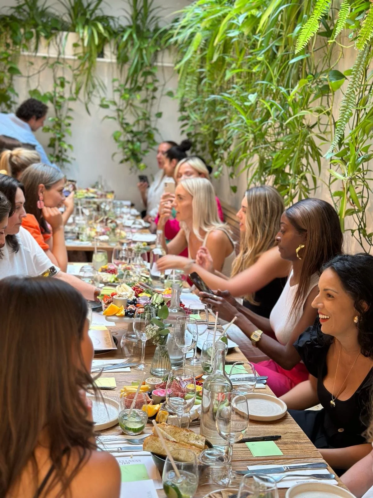 WhatsApp Image 2024-04-05 at 13.41.56.jpeg