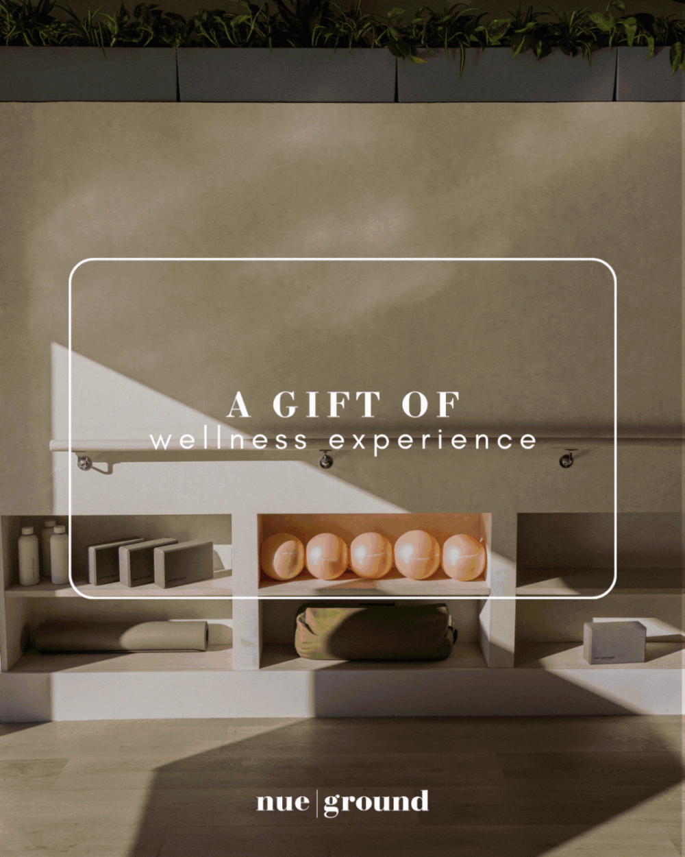 A+gift+of+wellness+experience.gif