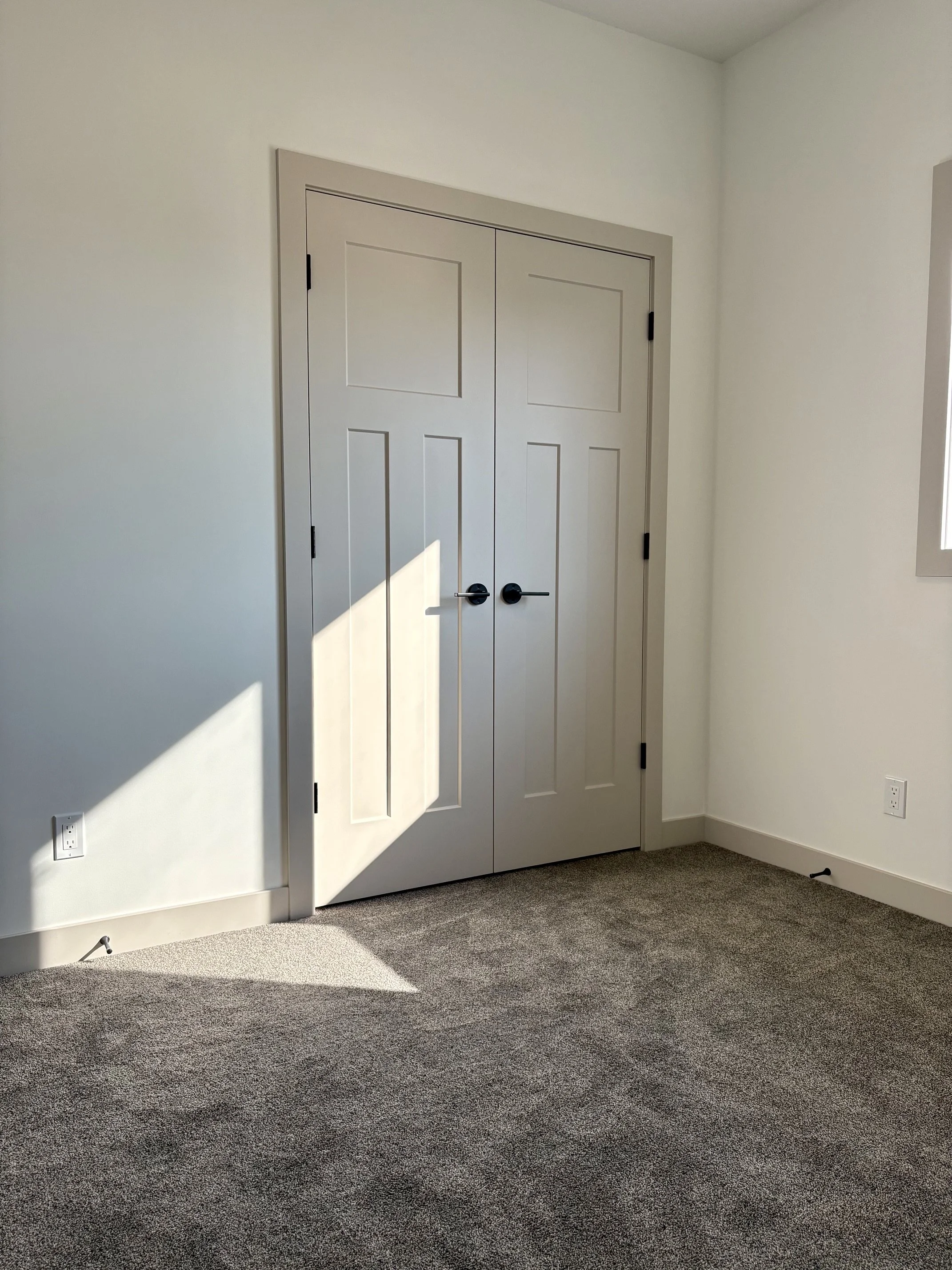 19 Ian - BR2 Closet.jpeg