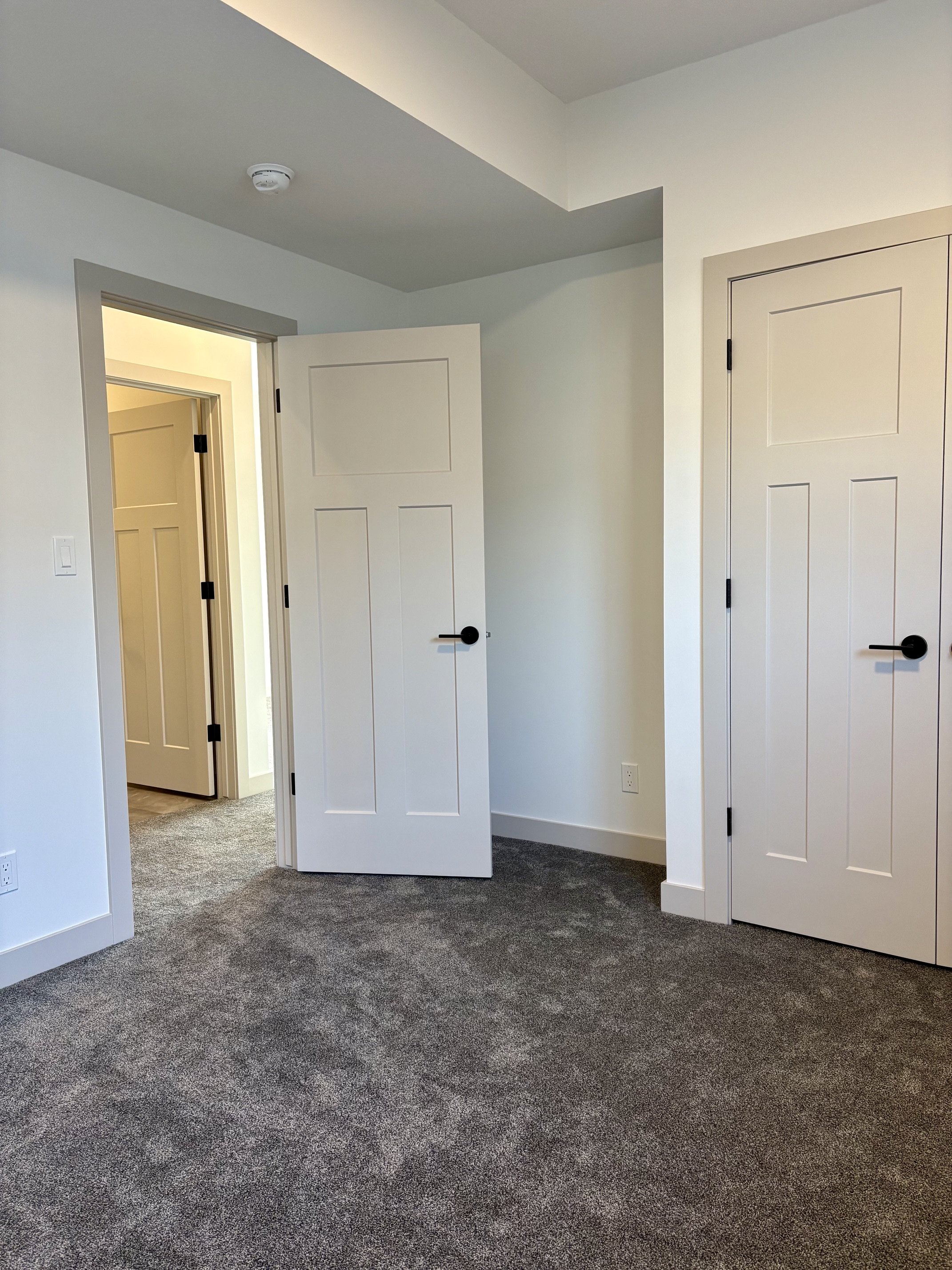 19 Ian - BR4 Closet.jpeg
