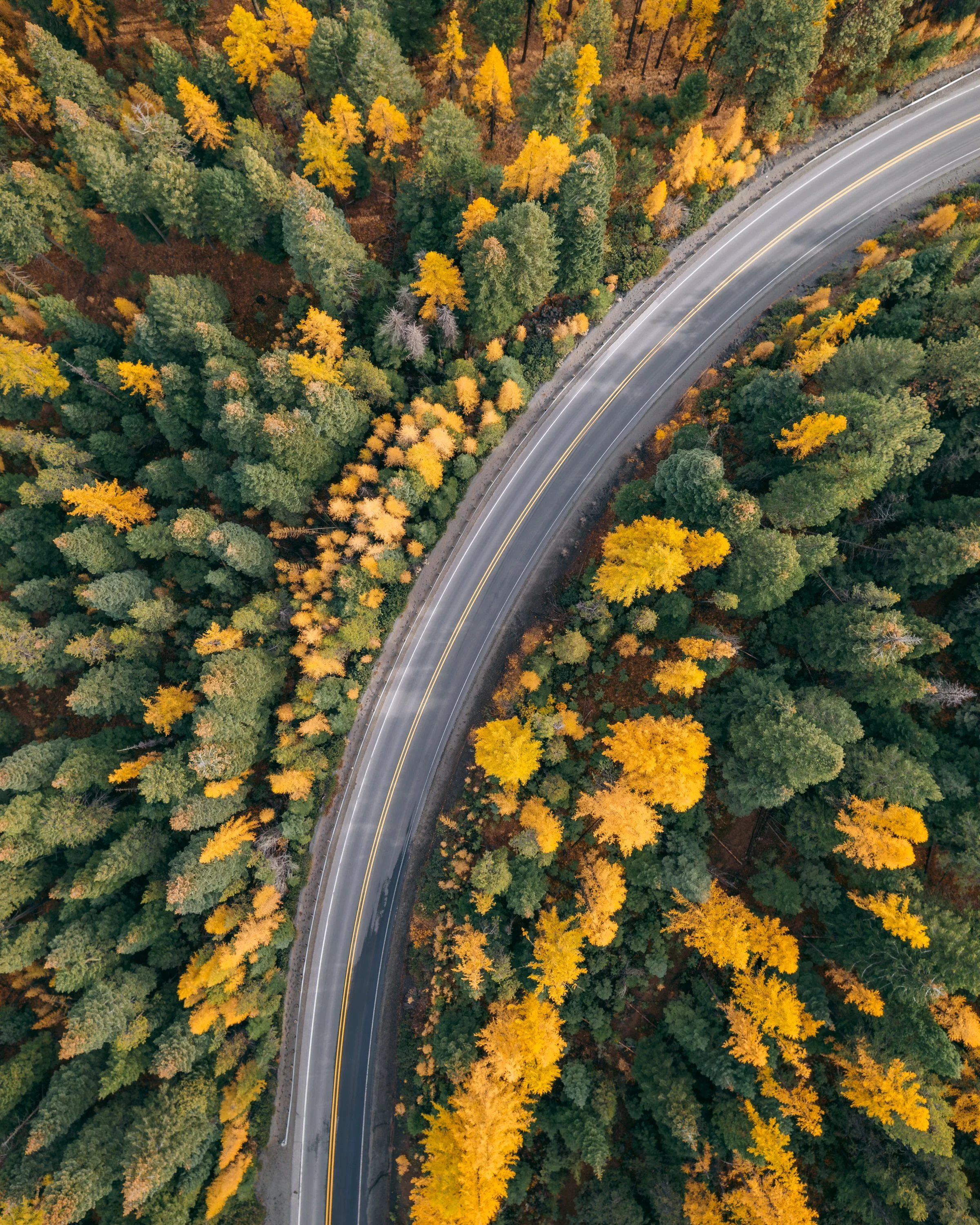 DJI_0387-HDR.jpg