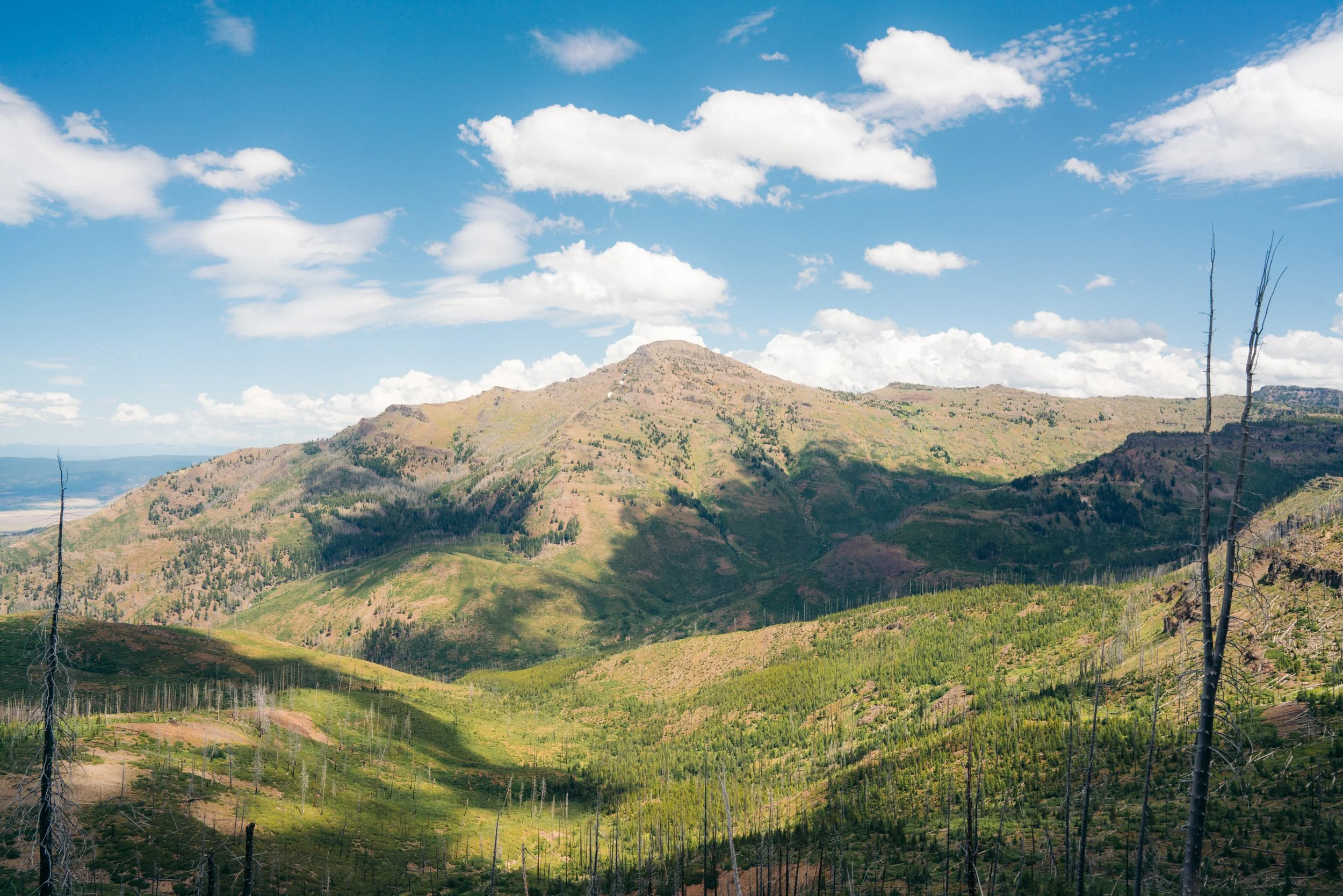 Strawberry Wilderness Marathon 2025