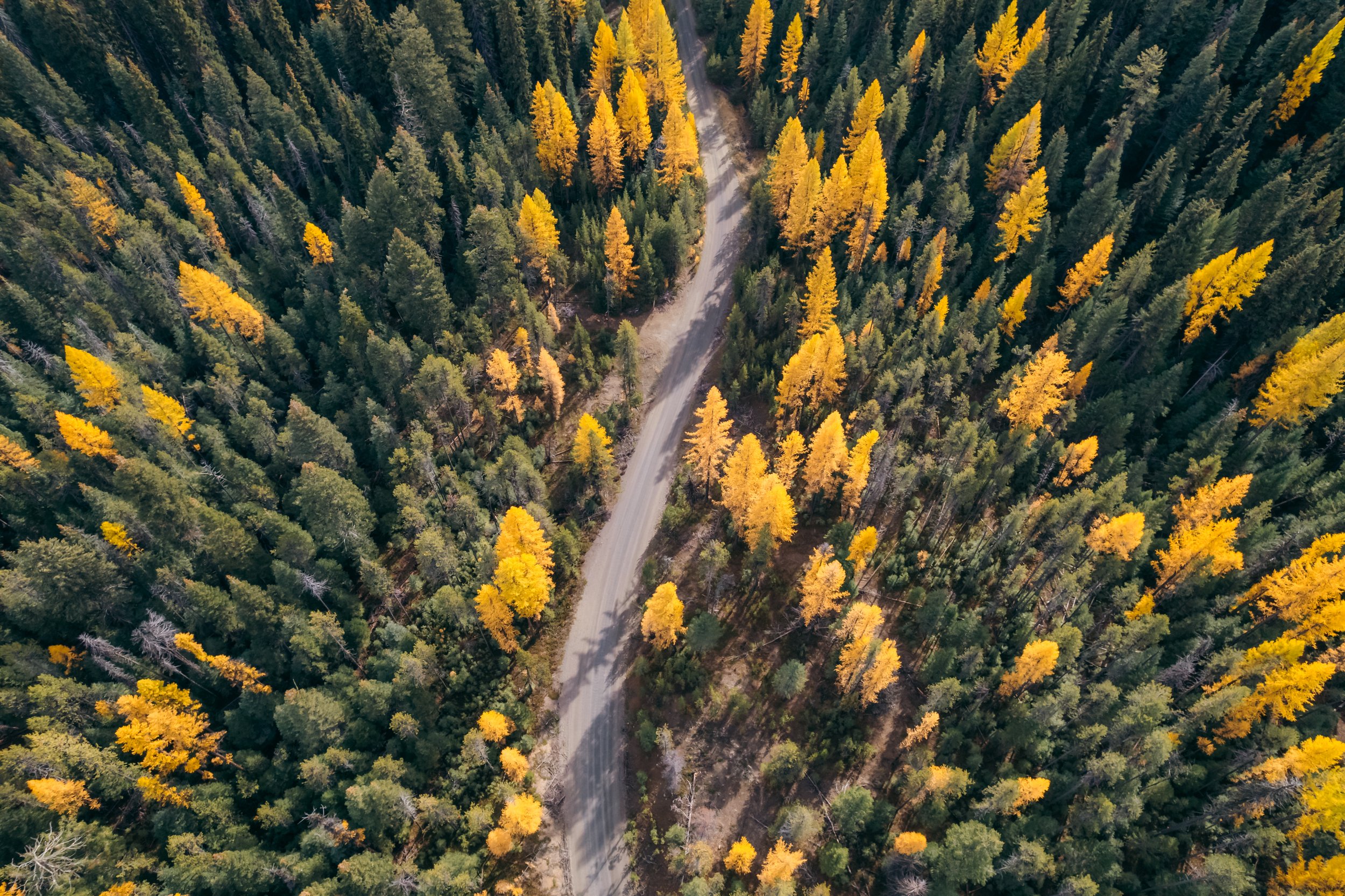 DJI_0199-HDR.jpg