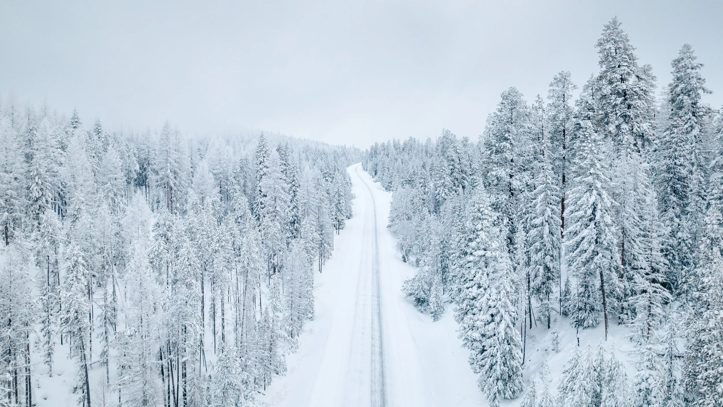 DJI_0745.jpg