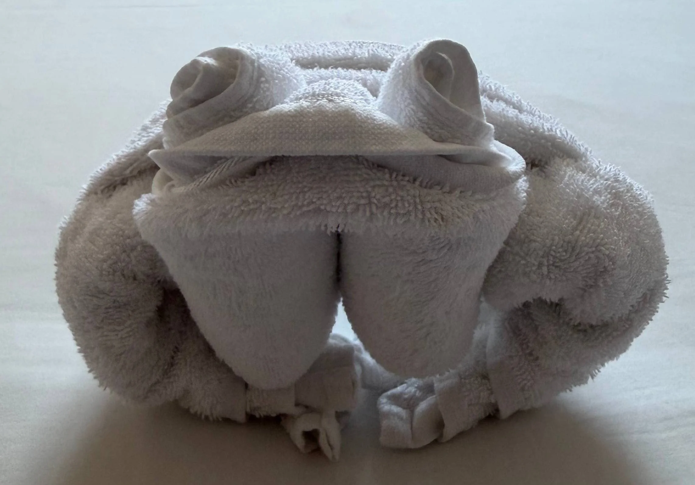 Towel folded into frog on hotel bed