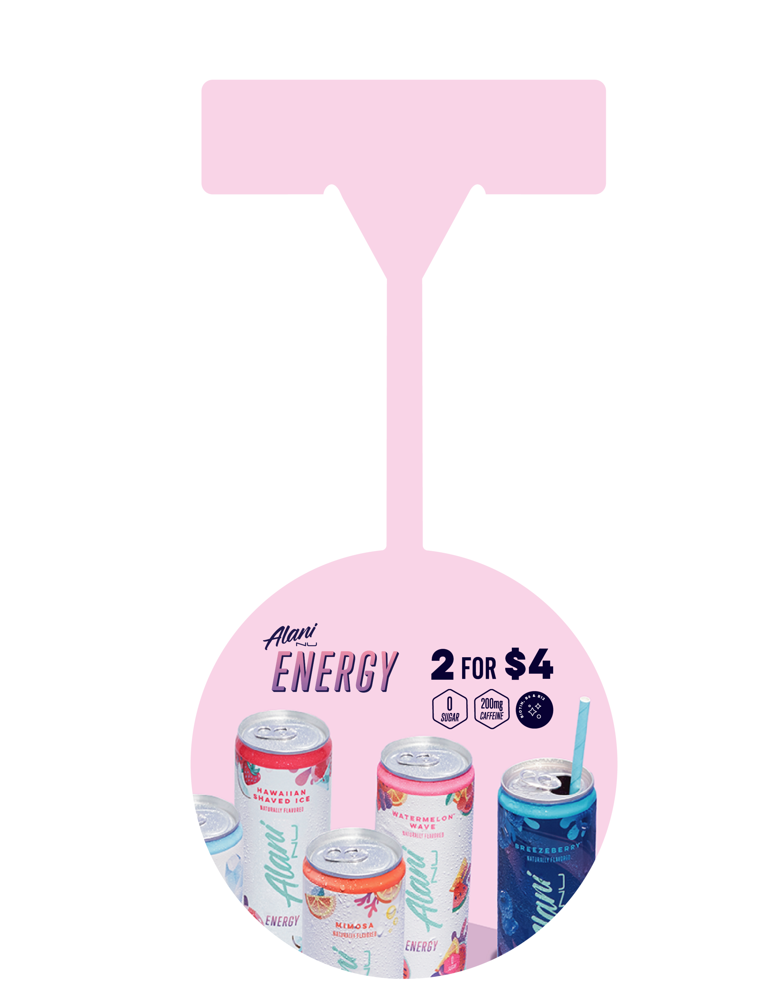 EnergyPOSdangler-02.png