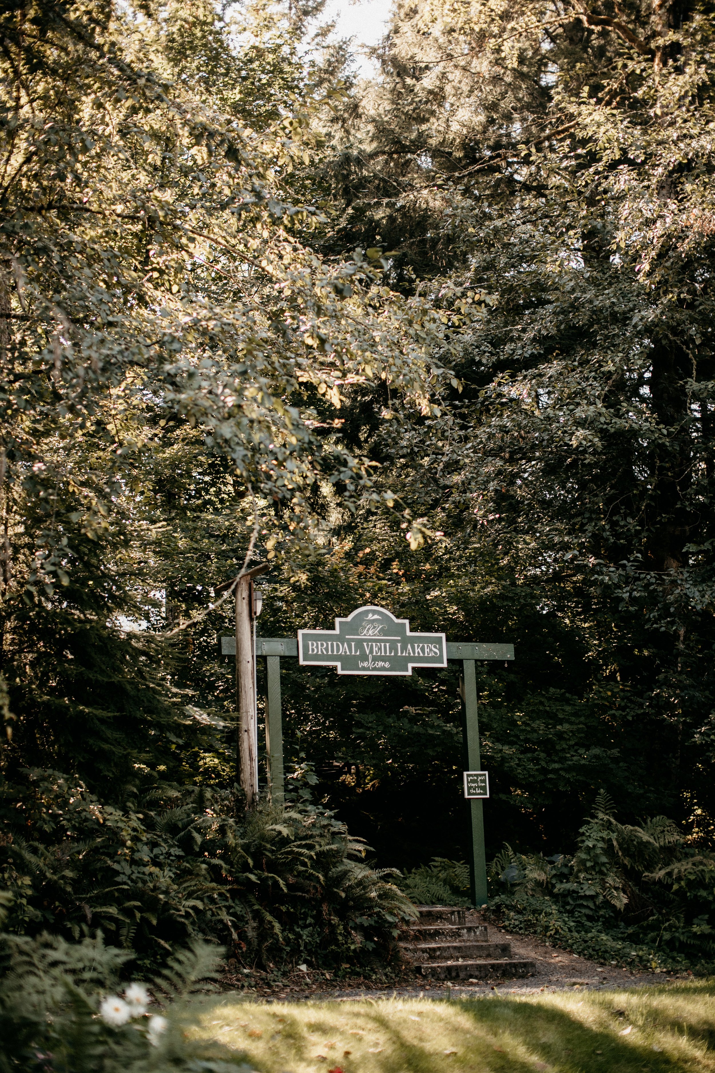 snezmphoto-1.jpg