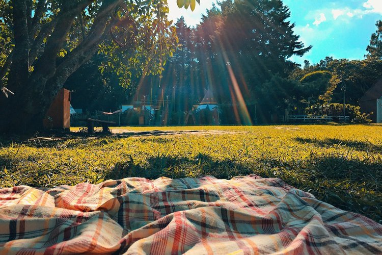 Farnborough summer picnic