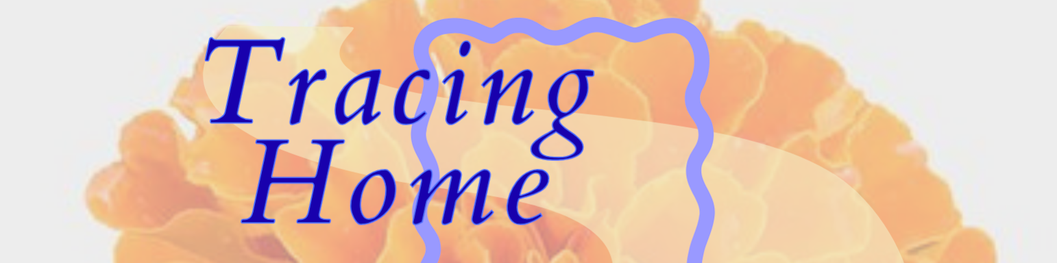 Workshop: Tracing Home