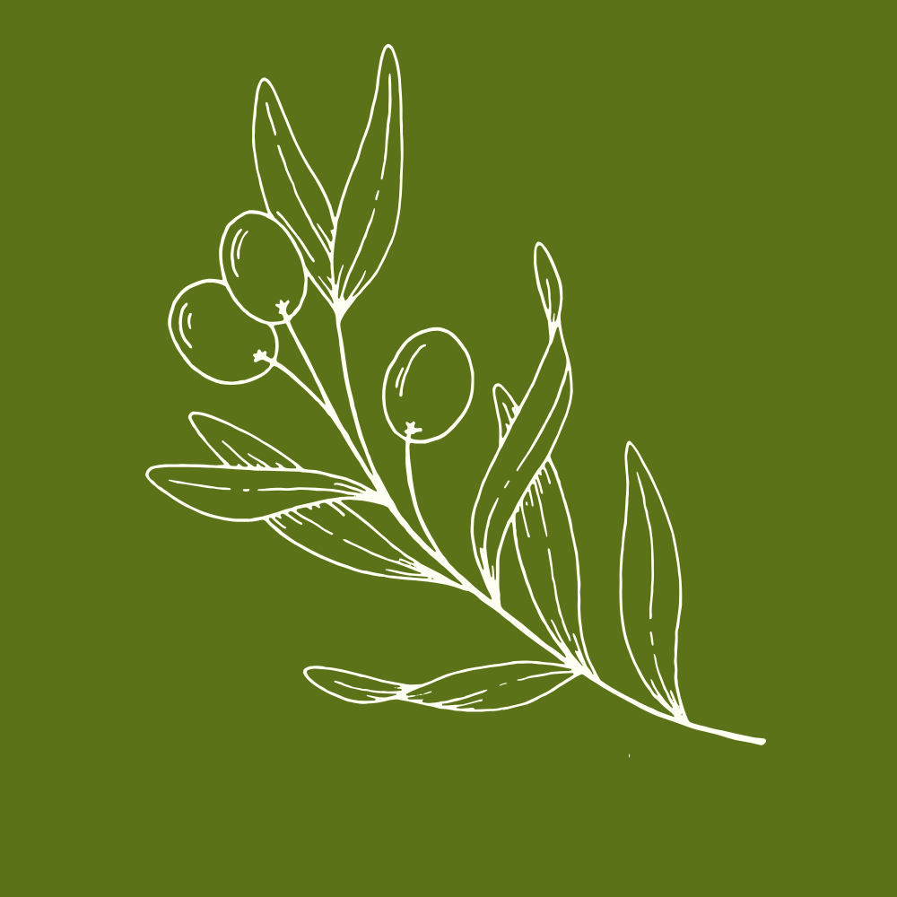 olive tree sponsor icon 2026.png