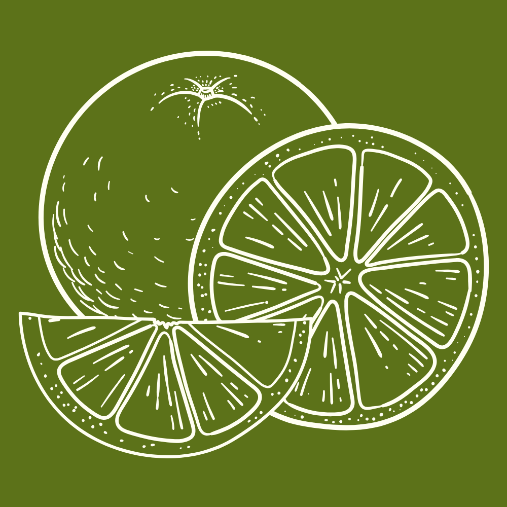 jaffa orange sponsor icon 2026.png