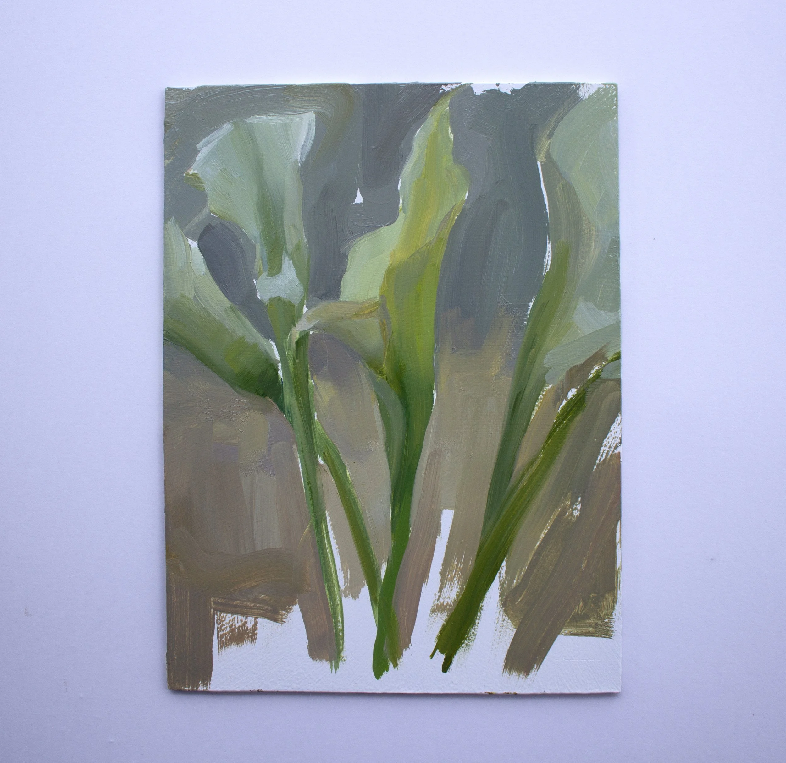 Daytime Calla Sketch