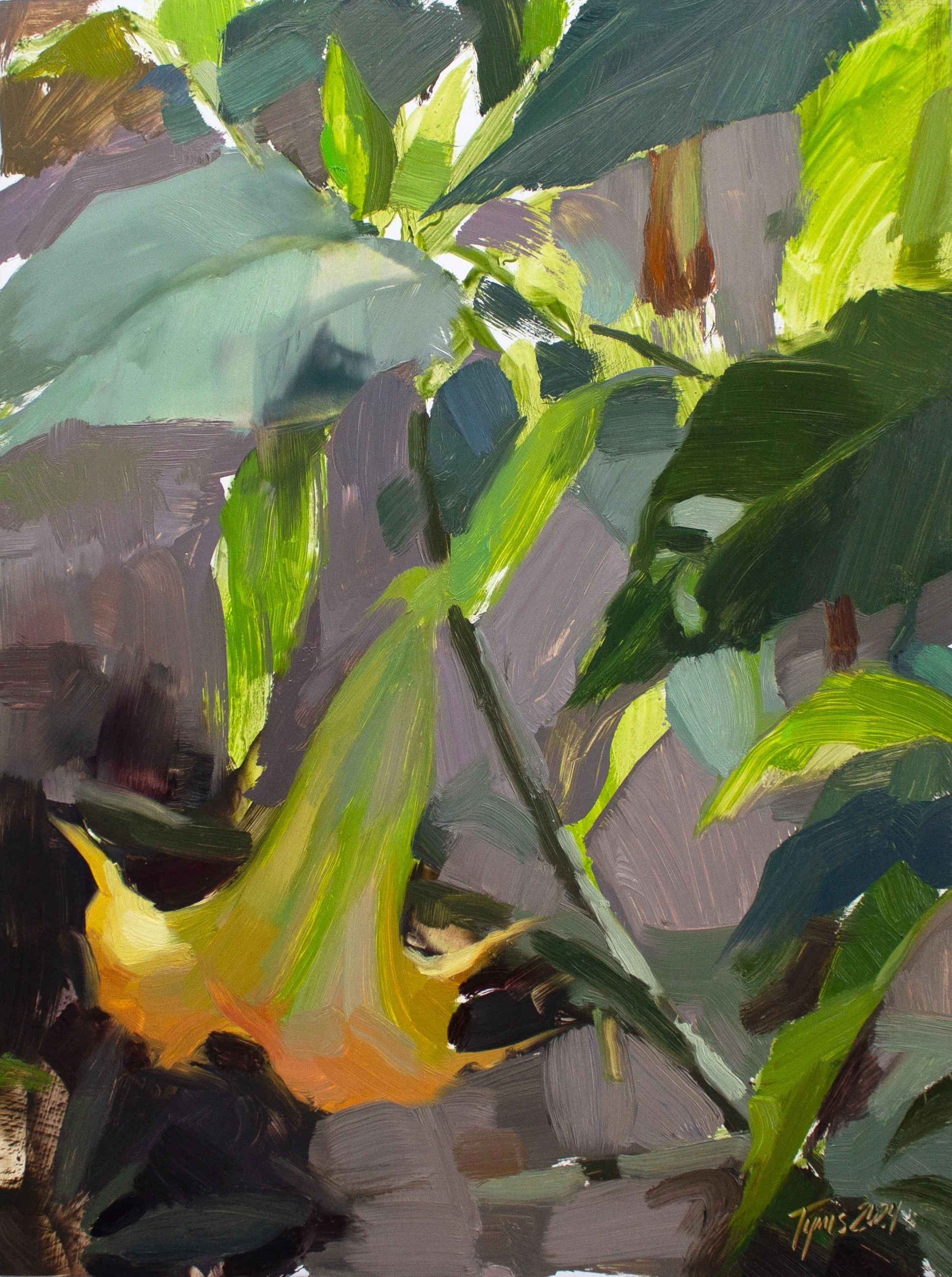 Trumpet Flower Study, 2024