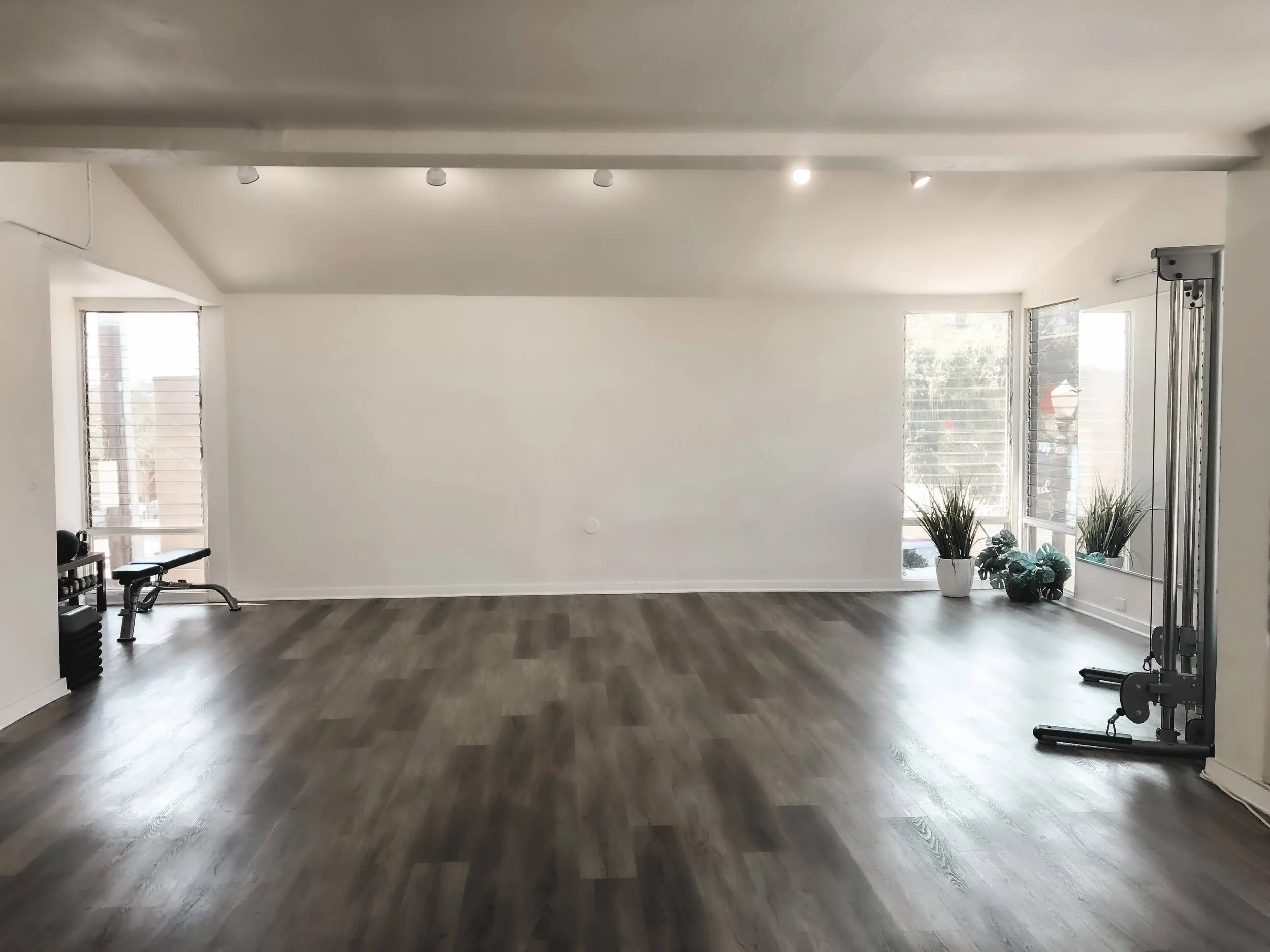Collaborate With Us— Sweat Society Fitness