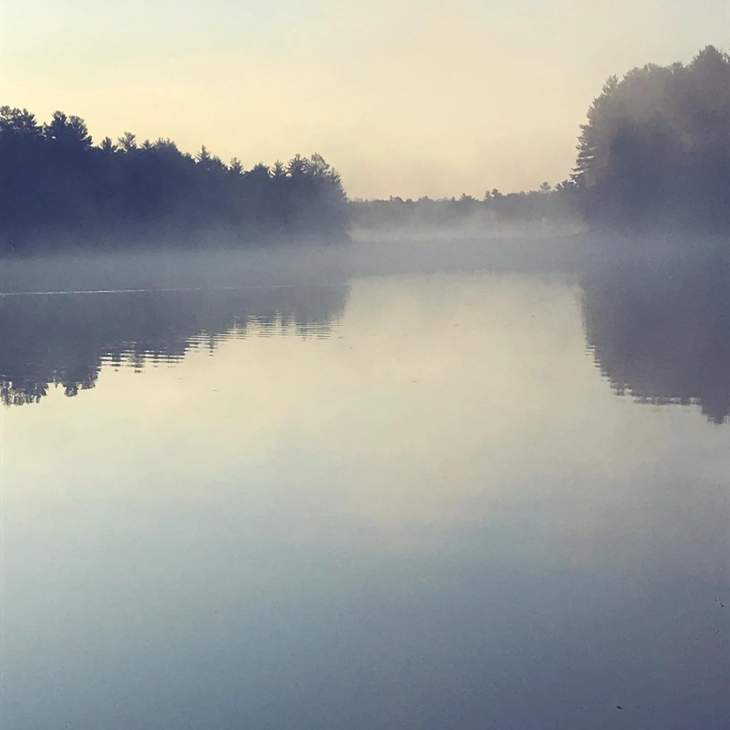 Happy Earth Day from MM+B! We are so grateful to practice in beautiful Muskoka. Check us out at www.muskokamindbody.ca to see our services and practitioners. 
.
.
.
#yoga #therapy #psychotherapy #mentalhealth #moveandstretch #poweryoga #hotyoga #musk