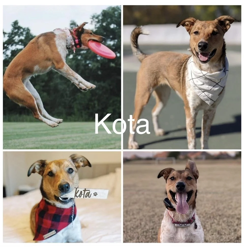 *suggested for frisbee scene