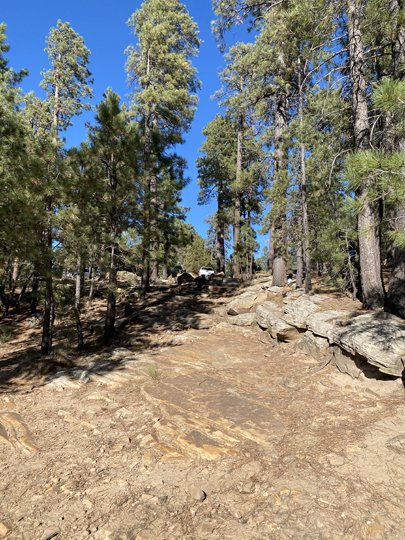 Facing E back towards parking lot