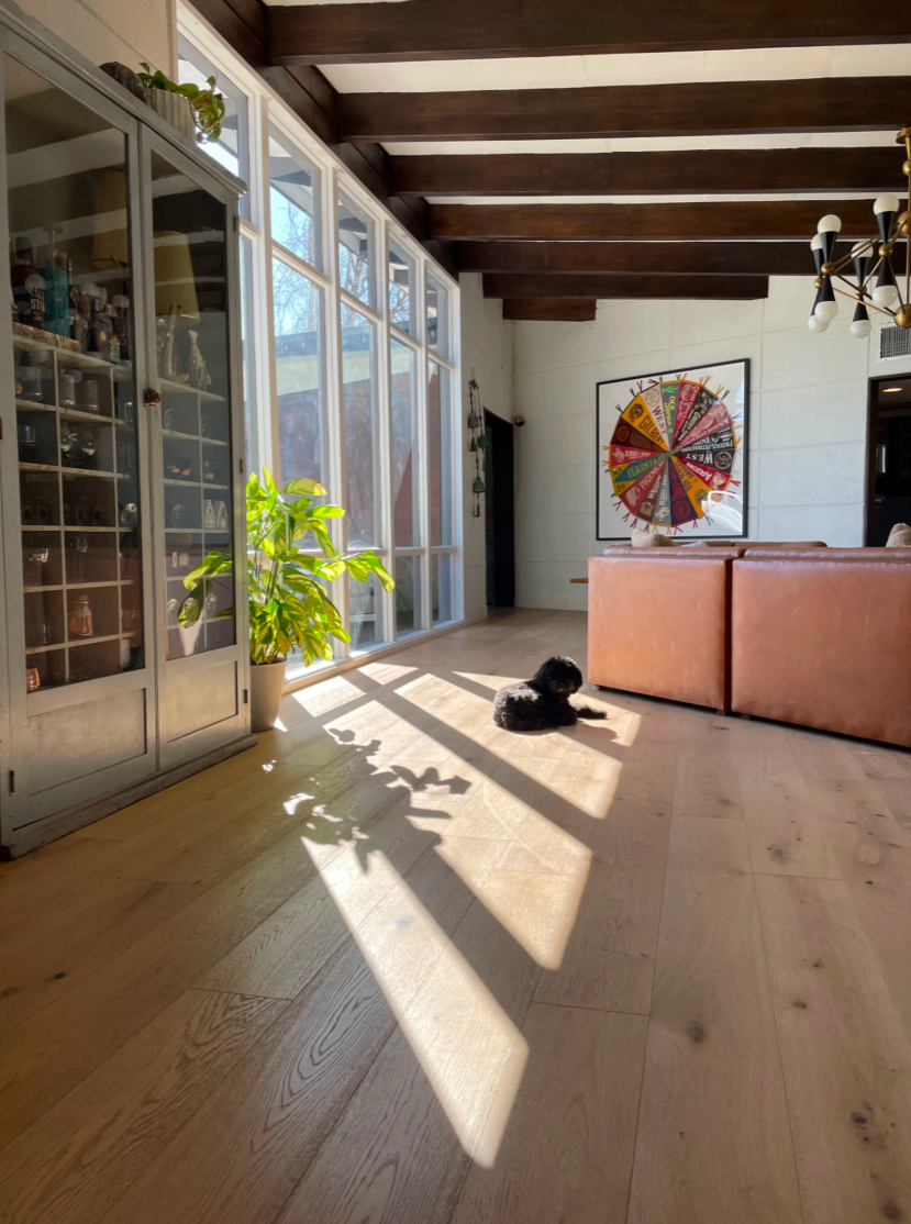 This angle could work really nicely for the dog looking out the window at the street?