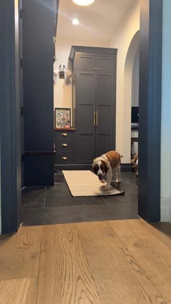 Mudroom
