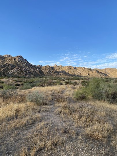 IMG_3471.jpg