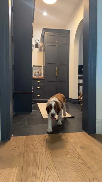 Mudroom