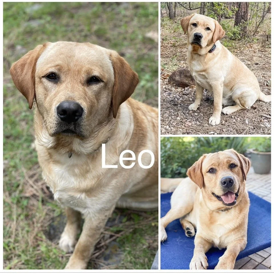 *Only available 1/13*