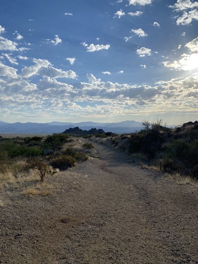 7:45 AM