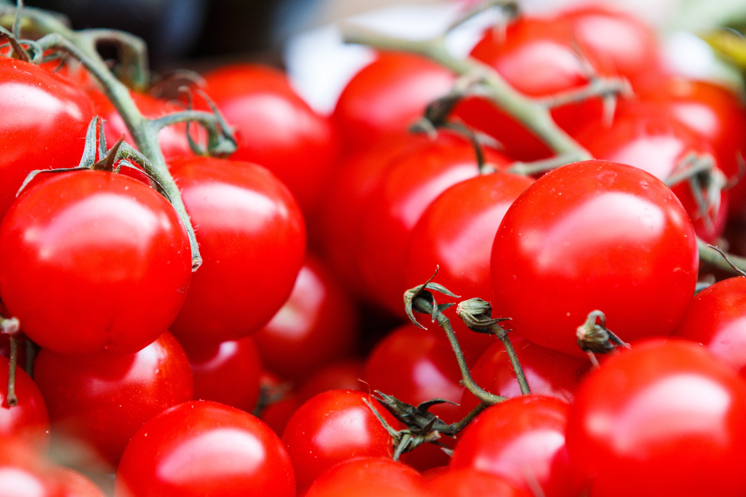 Cherry Tomatoes