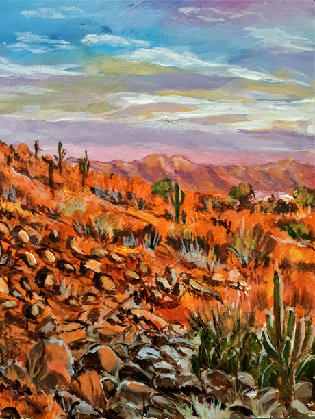 Rocky Desert at Sunset by Barbara Welch