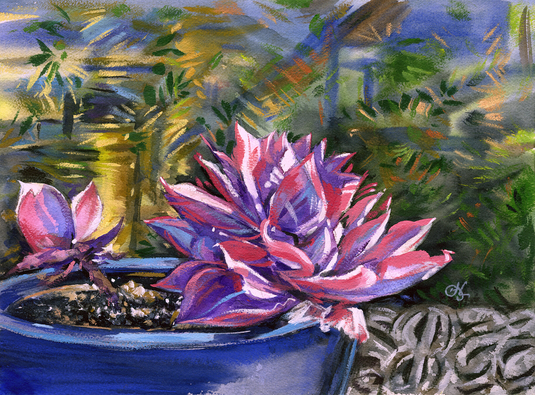 SPRING SUCCULENTS by Helane Freeman