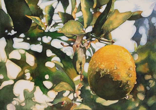 A LITTLE MEYER by Yolande McAlevey